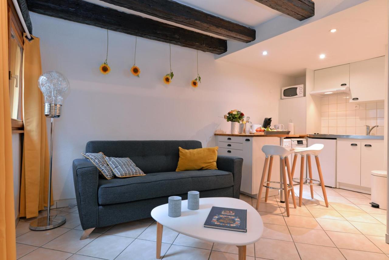 Appartement La Terrasse Sur Cour Colmar Exteriör bild